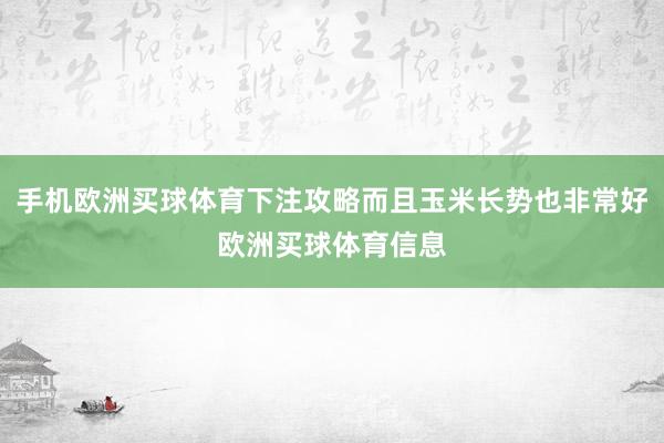 手机欧洲买球体育下注攻略而且玉米长势也非常好欧洲买球体育信息