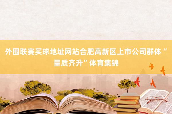 外围联赛买球地址网站合肥高新区上市公司群体“量质齐升”体育集锦