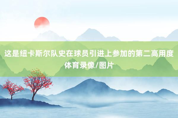 这是纽卡斯尔队史在球员引进上参加的第二高用度体育录像/图片