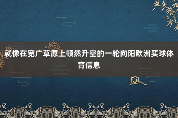 就像在宽广草原上顿然升空的一轮向阳欧洲买球体育信息