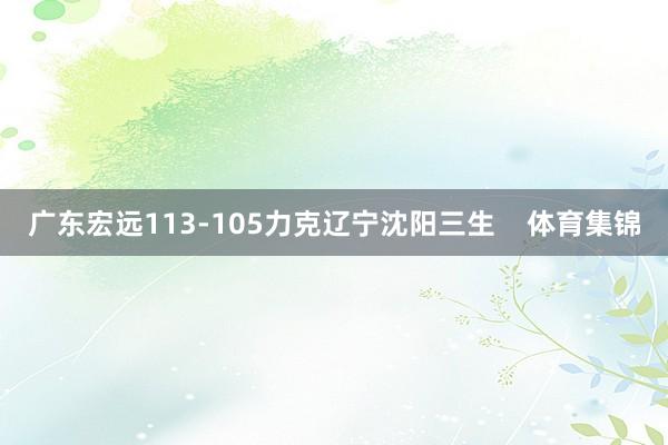 广东宏远113-105力克辽宁沈阳三生    体育集锦