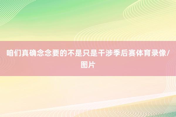 咱们真确念念要的不是只是干涉季后赛体育录像/图片