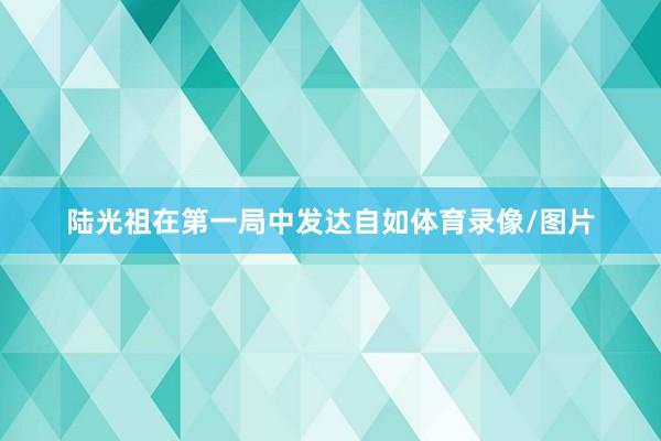 陆光祖在第一局中发达自如体育录像/图片